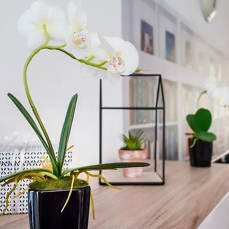 Bpr Purehome * Budapest